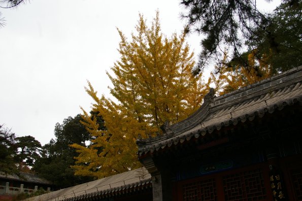 IMGP1147